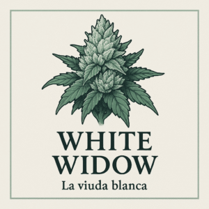 🕸️La Viuda Blanca (WW) – Flor seca x 5 gramos