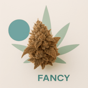 Fancy Gummy – Flor Seca x 20 Gramos -203EXT