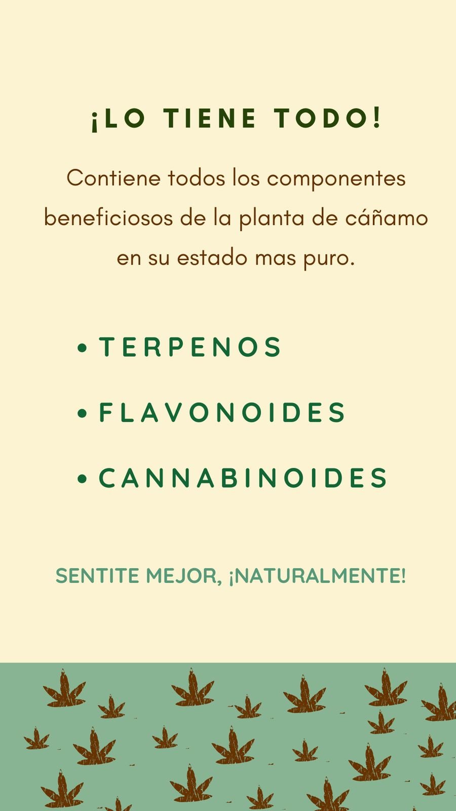 Aceite Full Spectrum de Cáñamo Pure Hemp - Imagen 2