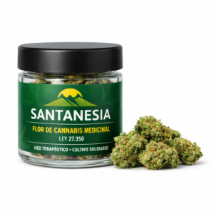 Santanesia Lote 1 - Flor Seca x 5 gramos