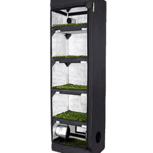 Probox Propagator L